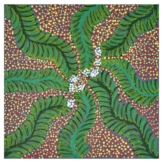 Bush Medicine In My Mother's Country, 30x30cm