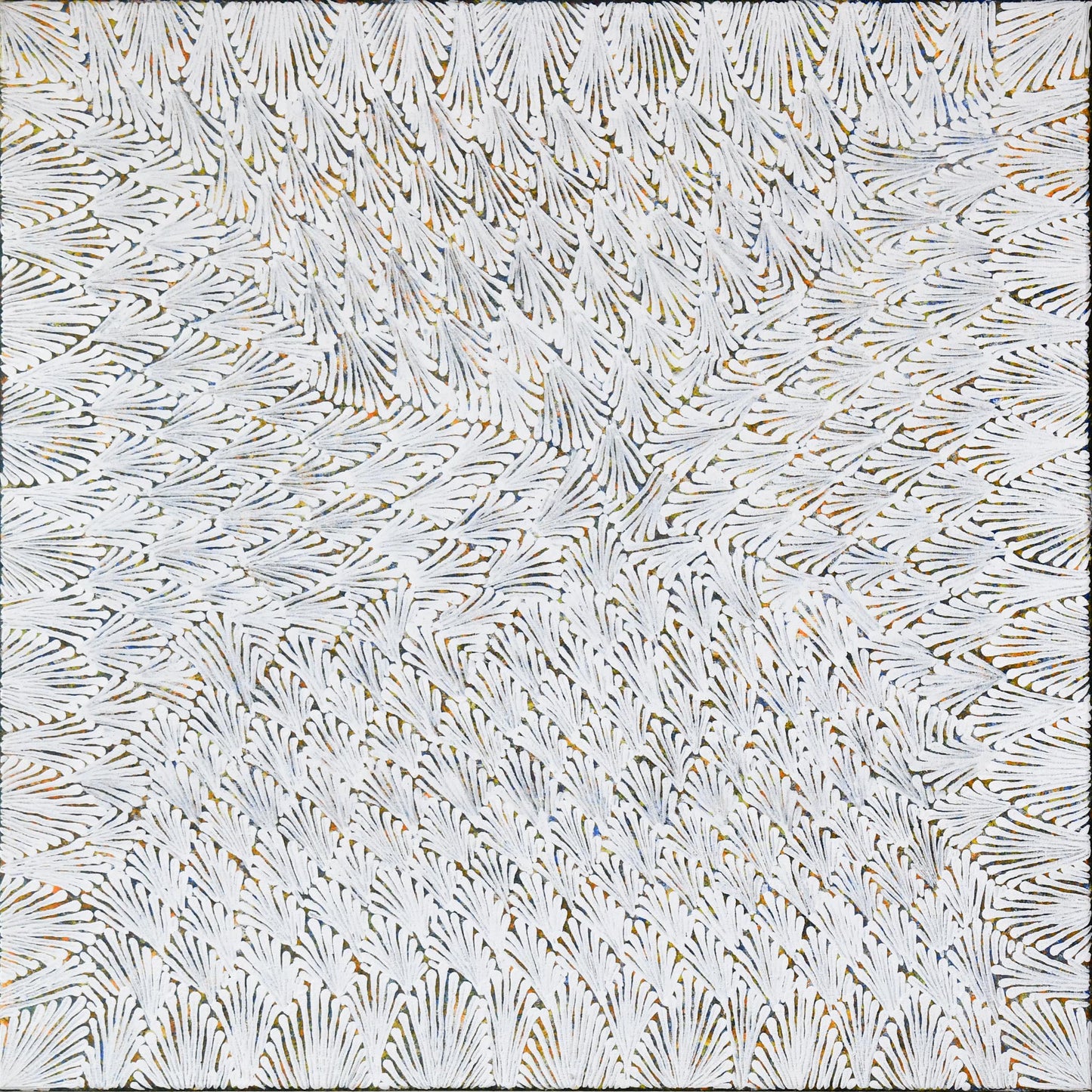 Irltenty (honey flower), 61x61cm
