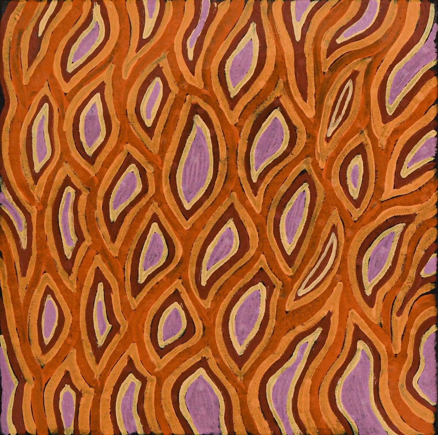 Bush Potato, 30x30cm