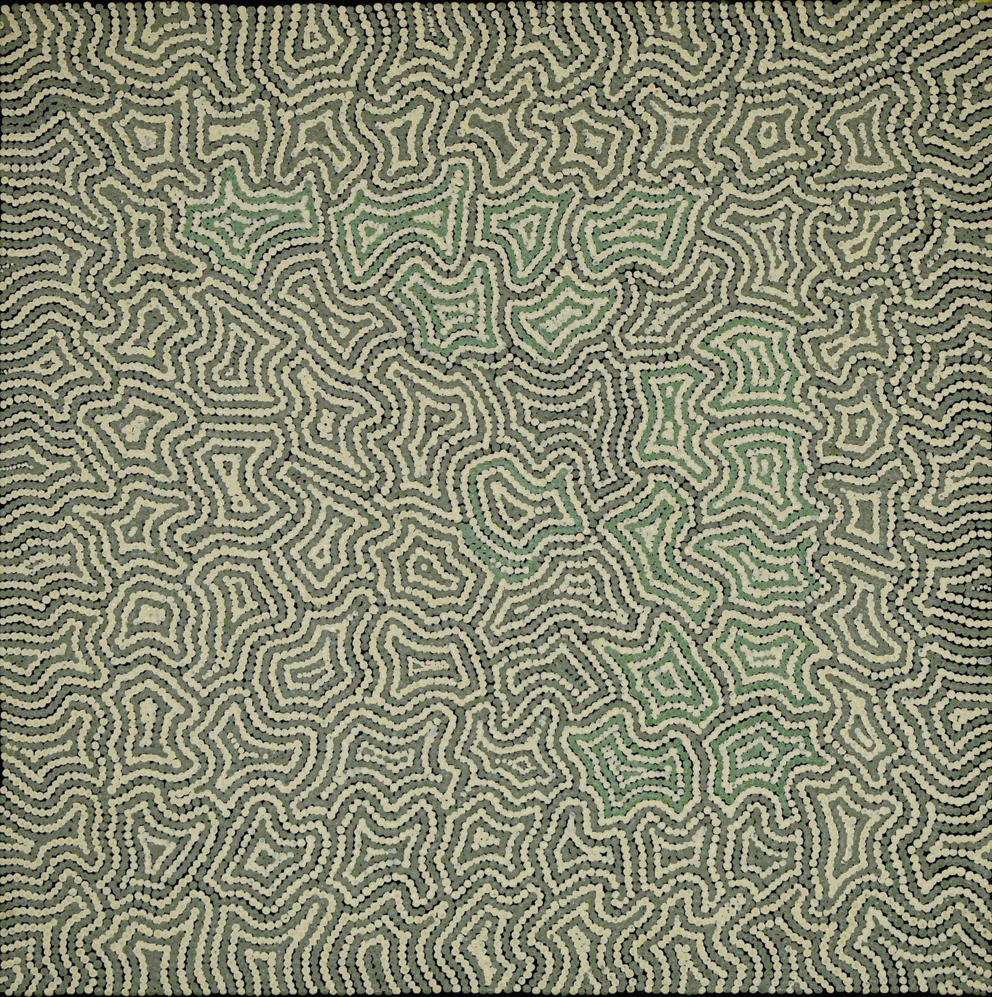 Bush Medcine, 61x61cm