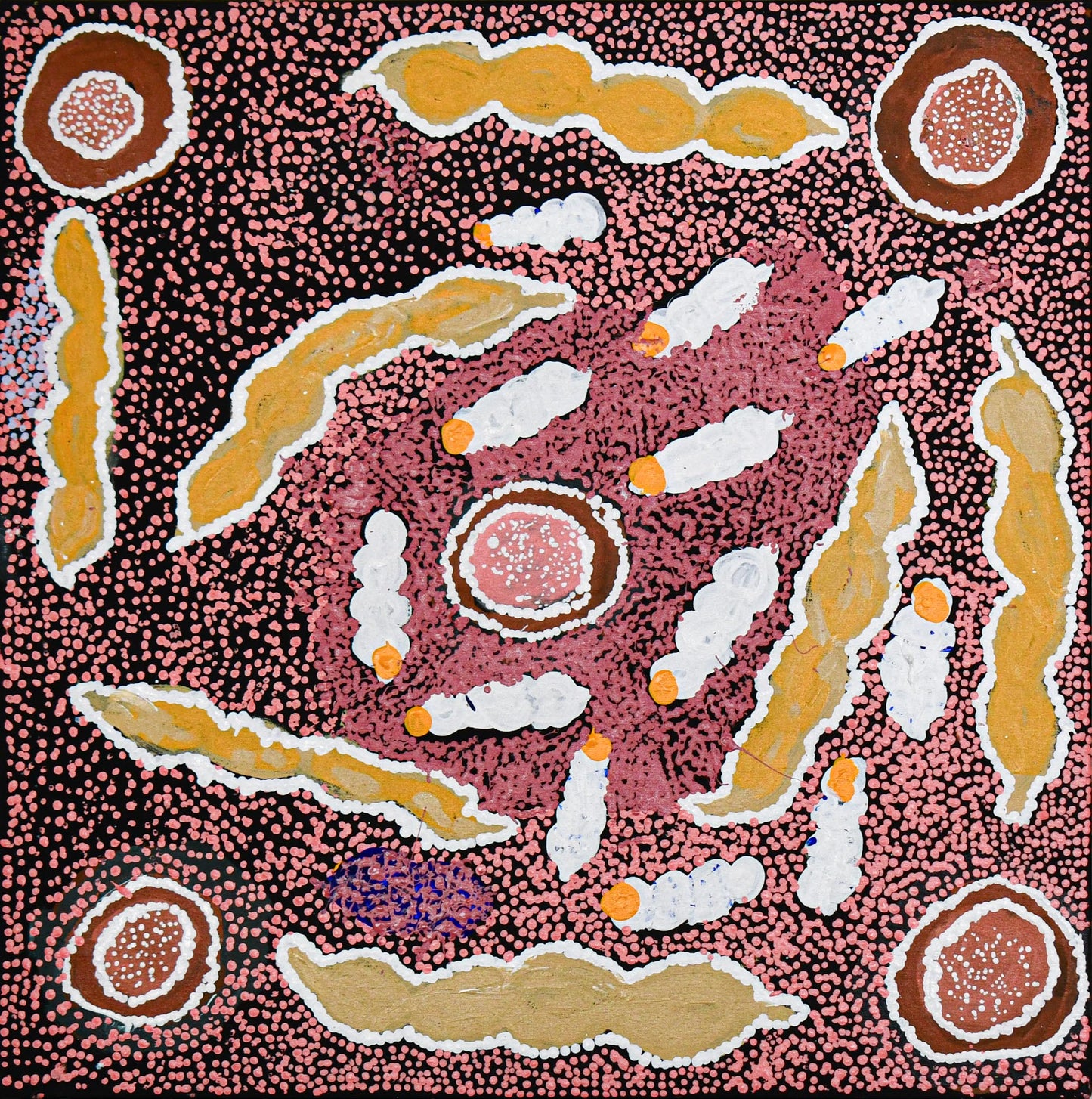 Bush potato and witchetty grub, 61x61cm