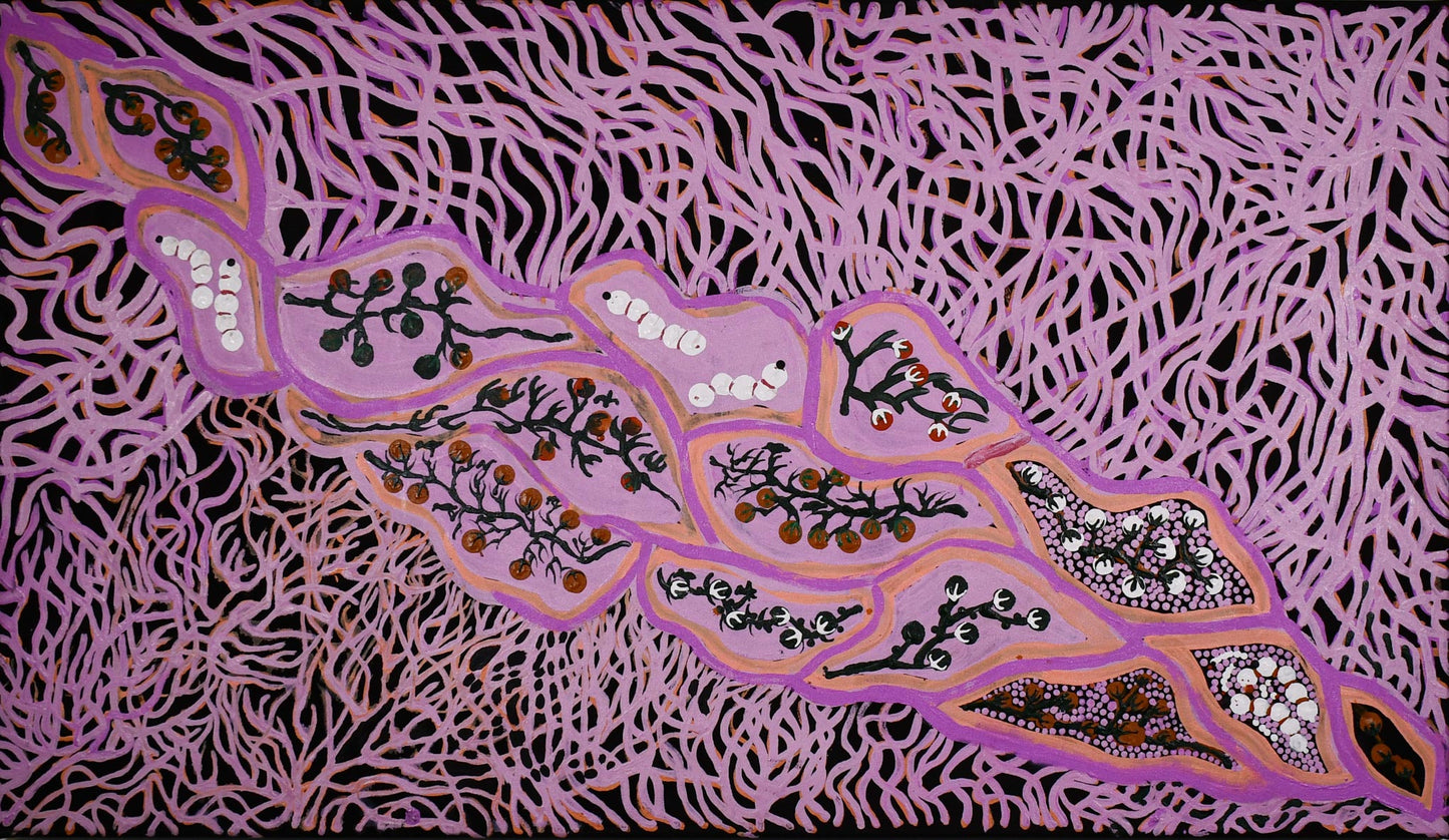 Bush tucker, 61 x 107cm