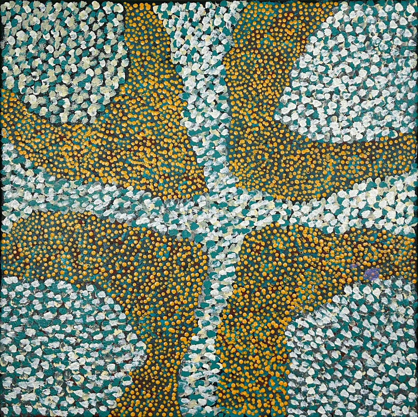Irreyakwerr (bush onion), 61x6cm
