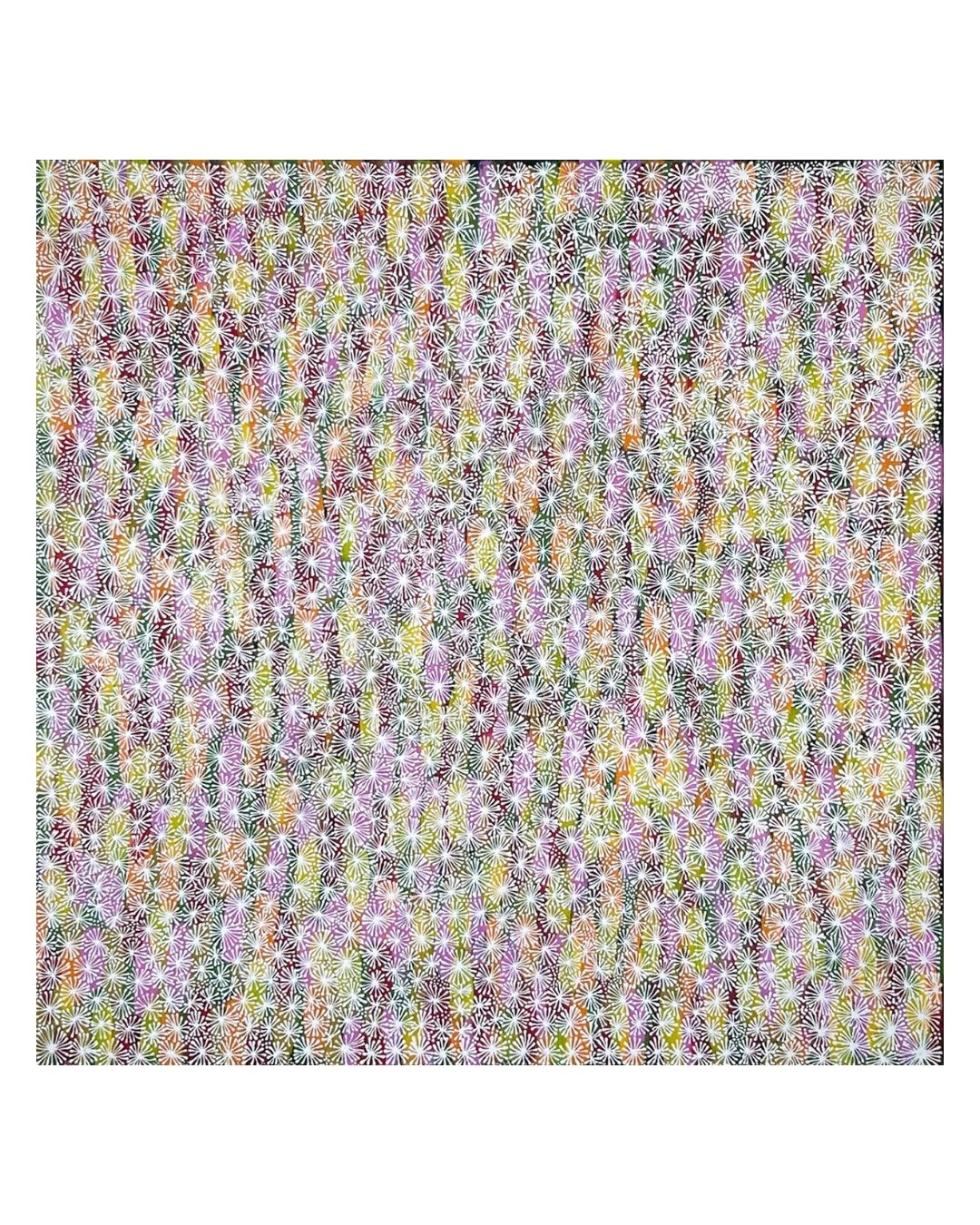Bush medicine leaves, 61x61cm