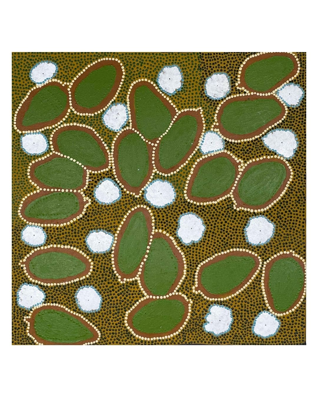 Bush Banana, 56x56cm