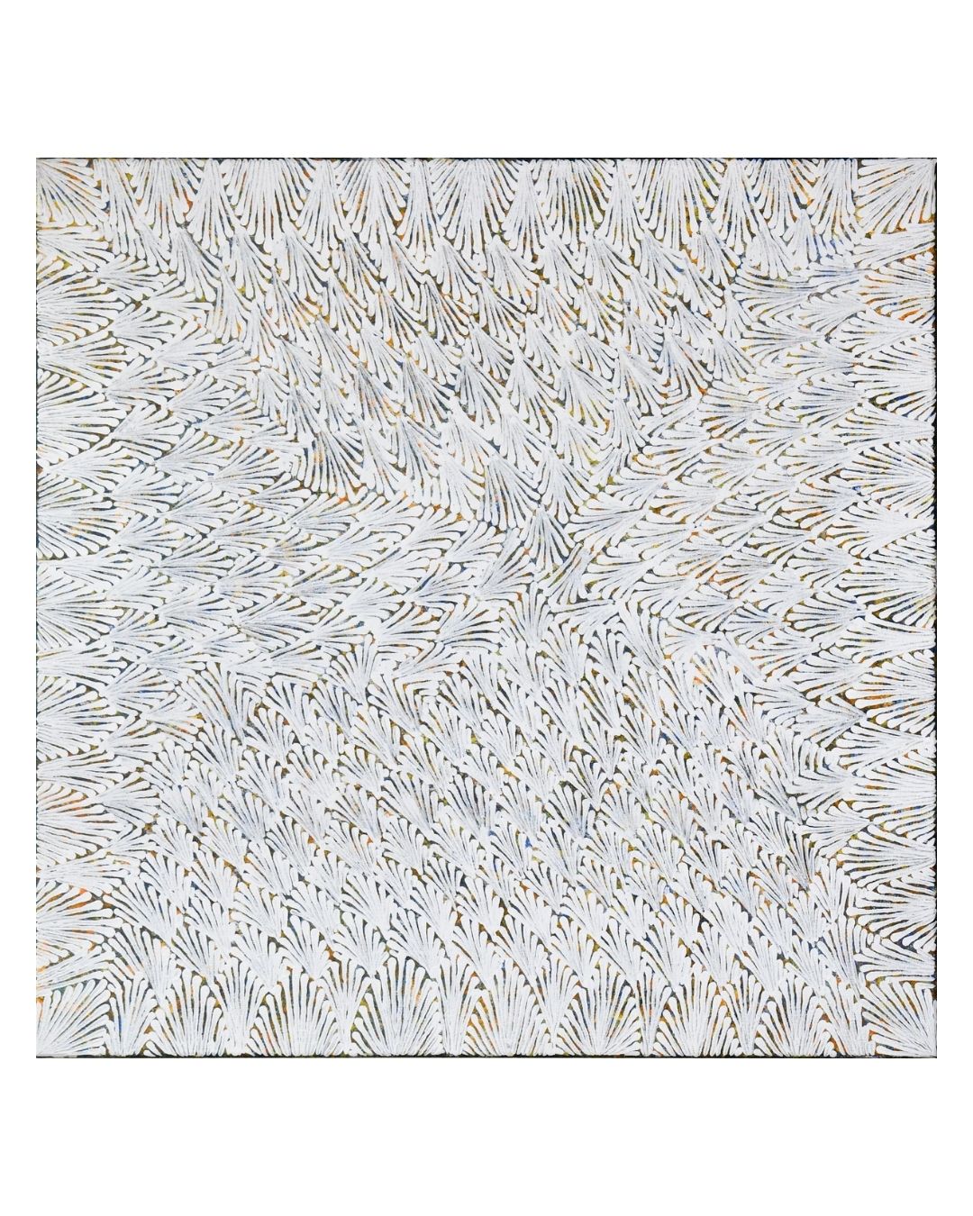 Irltenty (honey flower), 61x61cm
