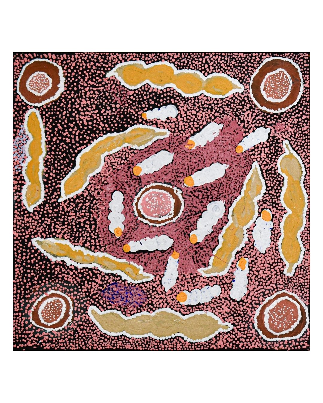 Bush potato and witchetty grub, 61x61cm