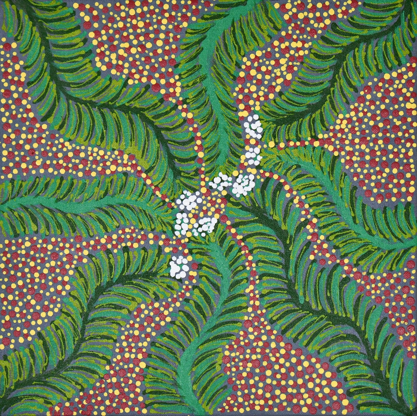 Bush Medicine In My Mother's Country, 30x30cm