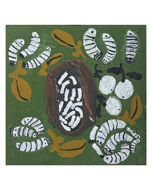 Witchetty grubs, 30x30cm
