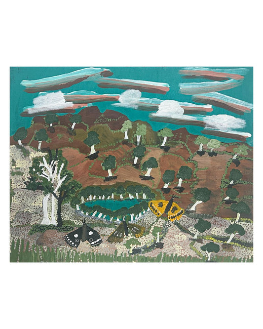 Butterflies, 61x76cm