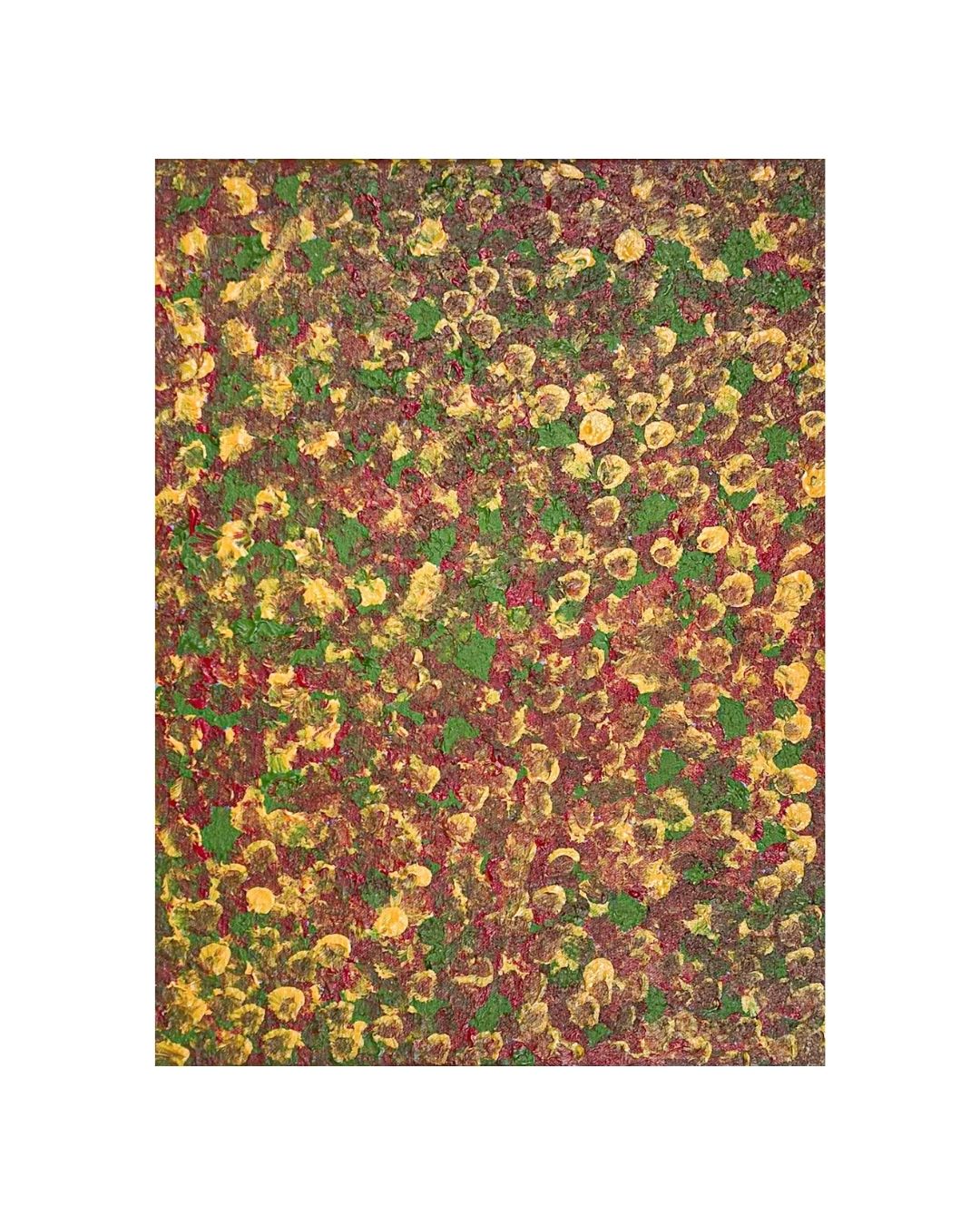 Arreth (rock fuchsia bush), 30x40cm