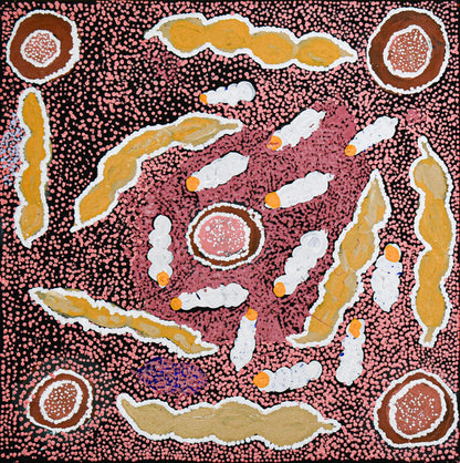 Bush potato and witchetty grub, 61x61cm