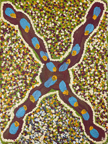 Bush beans, 30x40cm