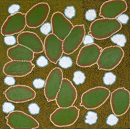 Bush Banana, 56x56cm