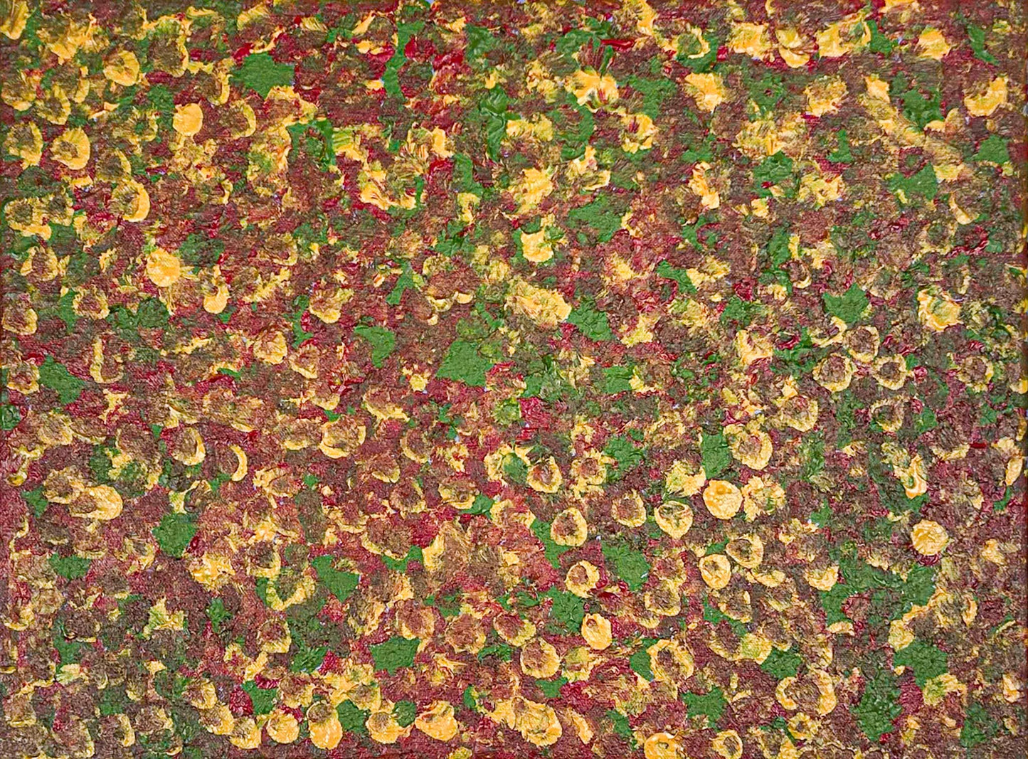 Arreth (rock fuchsia bush), 30x40cm