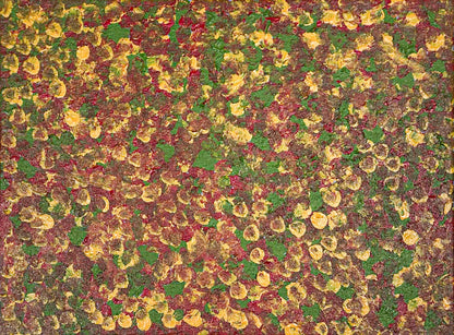 Arreth (rock fuchsia bush), 30x40cm