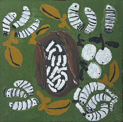 Witchetty grubs, 30x30cm