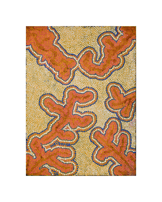 Desert Flower After Fire, 56x76cm