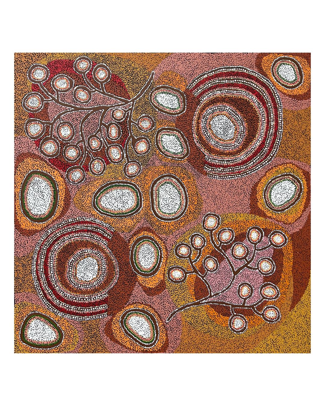 Wild fig, 118x118cm