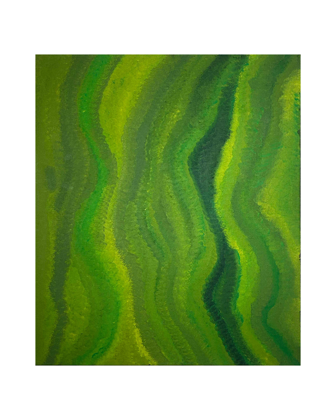 Bush medicine leaves, 107x91cm