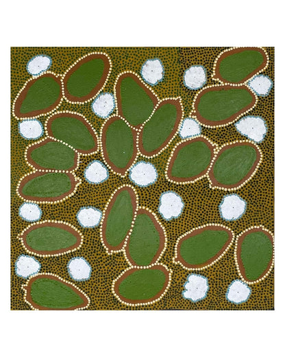 Bush Banana, 56x56cm