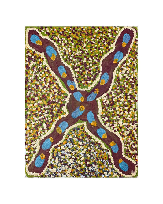 Bush beans, 30x40cm